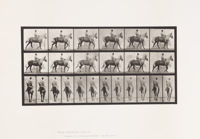 Placa 653. Andar a pé; Sela; Pés Manco, Frente Direita; Pele de Cavalo de Eadweard Muybridge