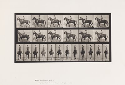 Placa 654. Andar a pé; Sela; Pés Manco, Frente Direita; Pele de Cavalo de Eadweard Muybridge