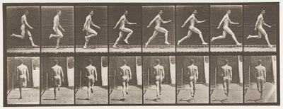Placa 65. Correndo a toda velocidade., 1872-1885 de Eadweard Muybridge
