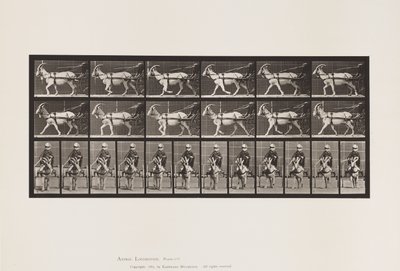 Placa 678. Cabra; Trotting, em Sulky de Eadweard Muybridge