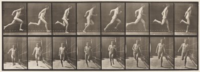 Placa 67. Corrida, 1872-1885 de Eadweard Muybridge