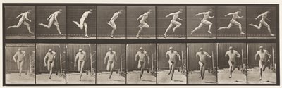 Placa 68. Corrida, 1872-1885 de Eadweard Muybridge