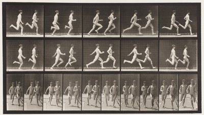 Placa 69. Executando Dois Modelos, 1872-1885 de Eadweard Muybridge