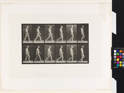 Placa 6.Caminhada de Eadweard Muybridge