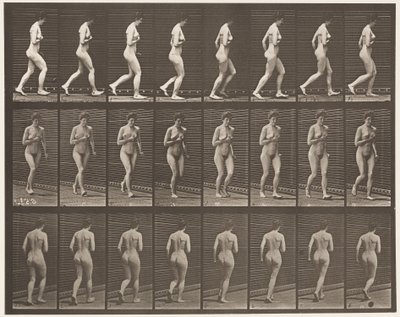 Placa 70. Corrida, 1872-1885 de Eadweard Muybridge