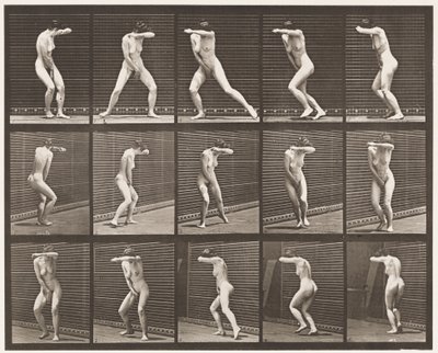 Ilustração 73. Virando-se de surpresa e fugindo, 1872-1885 de Eadweard Muybridge