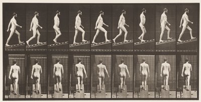 Placa 75. Inclinação Ascendente, Ângulo 1 em 4, 1872-1885 de Eadweard Muybridge