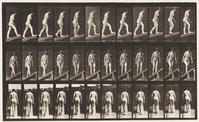 Placa 76. Inclinação Ascendente de Eadweard Muybridge