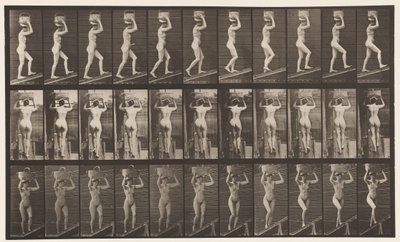 Placa 80. Inclinação Ascendente de Eadweard Muybridge