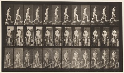 Placa 81. Inclinação Ascendente. de Eadweard Muybridge