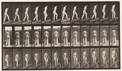 Placa 85. Inclinação Ascendente de Eadweard Muybridge