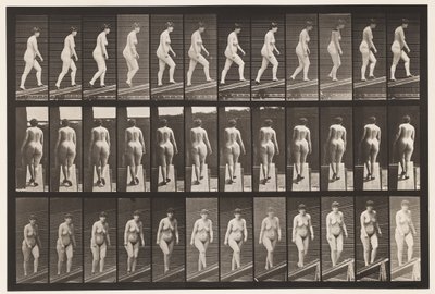 Placa 86. Inclinação Ascendente de Eadweard Muybridge