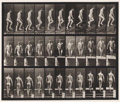 Placa 88. Escada Ascendente, 1872-1885 de Eadweard Muybridge