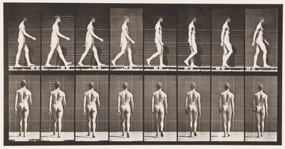 Placa 8. Caminhando de Eadweard Muybridge