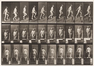 Placa 90. Escadas Ascendentes de Eadweard Muybridge