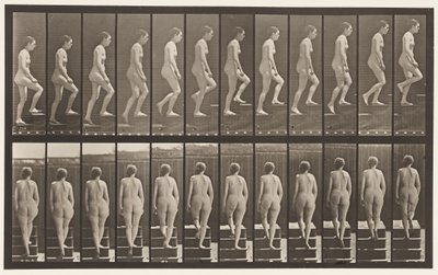 Placa 92. Escadas Ascendentes de Eadweard Muybridge