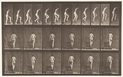 Placa 93. Escada Ascendente de Eadweard Muybridge