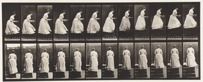 Placa 95. Escadas, uma bacia nas mãos, 1885 de Eadweard Muybridge
