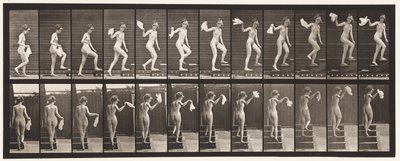 Placa 96. Escadas ascendentes olhando ao redor; Lenço ondulante de Eadweard Muybridge
