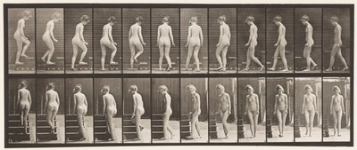 Placa 98. Virando e subindo escadas, 1872-1885 de Eadweard Muybridge