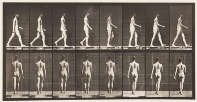 Placa 9. Caminhada, 1872-1885 de Eadweard Muybridge