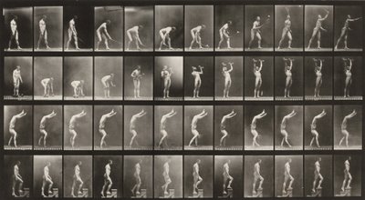 Prancha número 488. A: Ténis em relva. B: Halteres. C: Caminhar sobre as mãos. D: Subir escadas de Eadweard Muybridge