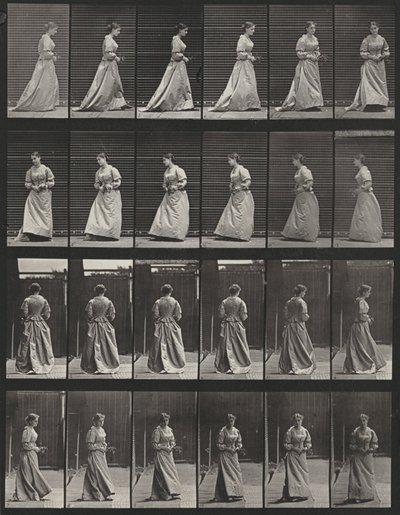 Prancha número 48. Caminhar e virar-se com um ramo nas duas mãos de Eadweard Muybridge