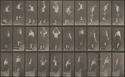 Placa número 504. Subindo e descendo escadas de Eadweard Muybridge