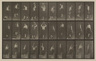 Placa número 504. Escadas ascendentes e descendentes de Eadweard Muybridge