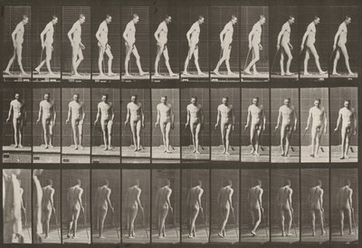Prancha número 559. Paraplegia parcial, caminhar com bengala de Eadweard Muybridge