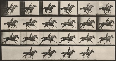 Prancha número 625. «Bouquet» a galope de Eadweard Muybridge