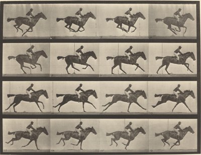 Placa número 626. Gallop, égua baia puro-sangue, Annie G. de Eadweard Muybridge