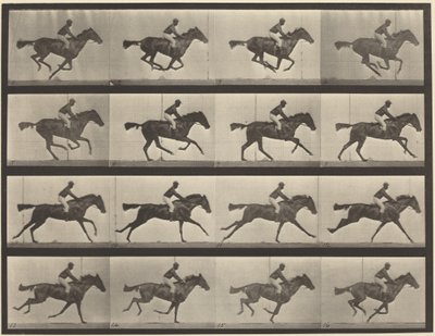 Prancha número 626. Galope, égua baia de raça pura, Annie G. de Eadweard Muybridge