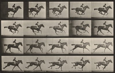 Prancha número 627. «Annie G.» a galope de Eadweard Muybridge