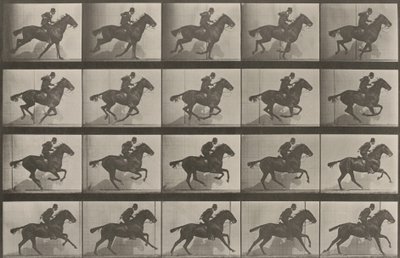 Prancha número 628. «Daisy» a galope de Eadweard Muybridge