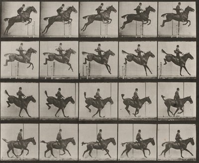 Prancha número 637. «Daisy» a saltar um obstáculo, selada, a transpô-lo, a aterrar e a recuperar de Eadweard Muybridge