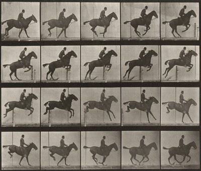 Prancha número 639. «Daisy» a saltar um obstáculo, selada de Eadweard Muybridge