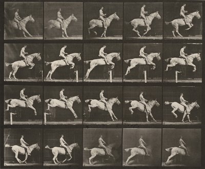 Prancha número 642. "Pandora" a saltar um obstáculo, selada; cavaleiro nu de Eadweard Muybridge