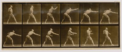 Pugilista a desferir um golpe, do livro Animal Locomotion de Eadweard Muybridge