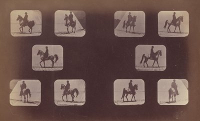 Estudos de escorços. Cavalos. Andando. Maomé. Nºs 119-120 de Eadweard Muybridge