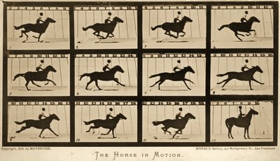 O cavalo em movimento, série &39;Animal Locomotion&39;, c.1878 de Eadweard Muybridge