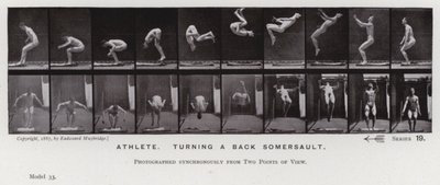 A Figura Humana em Movimento: Atleta, virando um somersault de costas (foto a p/b) de Eadweard Muybridge