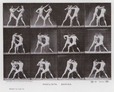 A Figura Humana em Movimento: Pugilistas, Boxe (foto a p/b) de Eadweard Muybridge