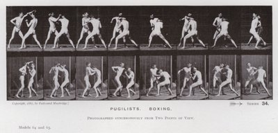 A Figura Humana em Movimento: Pugilistas, Boxe (foto a p/b) de Eadweard Muybridge
