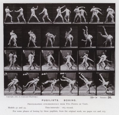 A Figura Humana em Movimento: Pugilistas, Boxe (foto a p/b) de Eadweard Muybridge