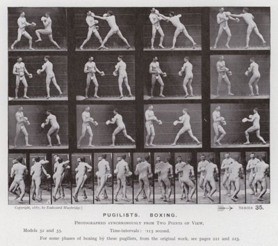 A Figura Humana em Movimento: Pugilistas, Boxe (foto a p/b) de Eadweard Muybridge
