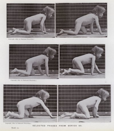 A Figura Humana em Movimento: Fases selecionadas da série 83 (foto a p/b) de Eadweard Muybridge
