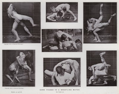 A Figura Humana em Movimento: Algumas fases de um combate de wrestling (foto a p/b) de Eadweard Muybridge