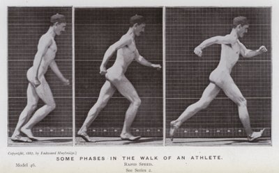 A Figura Humana em Movimento: Algumas fases da caminhada de um atleta (foto a p/b) de Eadweard Muybridge