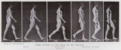 A Figura Humana em Movimento: Algumas fases da caminhada de um atleta (foto a p/b) de Eadweard Muybridge